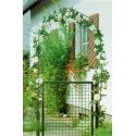 Portail de jardin .vert 100 X 125 cm
