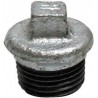 Bouchon tuyau eau galva 3/4"