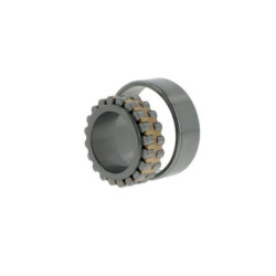 Roulements à rouleaux cylindriques NN3007 /SP ID 35mm AD 62mm Largeur 20mm SKF