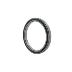 Roulements à rouleaux cylindriques SL183038 -TB-C3 ID 190mm AD 290mm Largeur 75mm INA