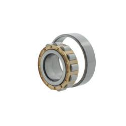 Roulements à rouleaux cylindriques N234 -E-M1 ID 170mm AD 310mm Largeur 52mm FAG