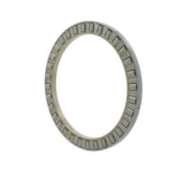 Couronne axiale à rouleaux cylindriques K81236 -M ID 180mm AD 250mm INA