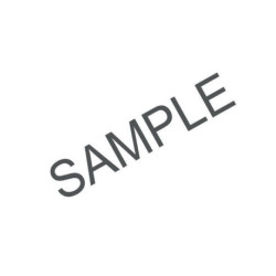 Rotule radiale GE19 -ZO-HLN 19,05mm DA 31,75mm L.16,662mm INA