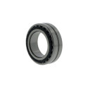 Roulements à rouleaux cylindriques NN3021 KTN9/SPW33 ID 105mm AD 160mm Largeur 41mm SKF