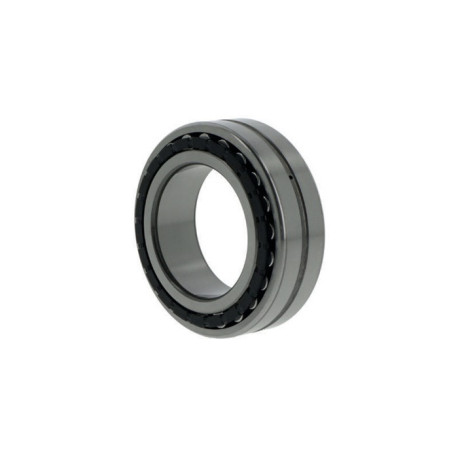 Roulements à rouleaux cylindriques NN3010 TN/SPW33 ID 50mm AD 80mm Largeur 23mm SKF