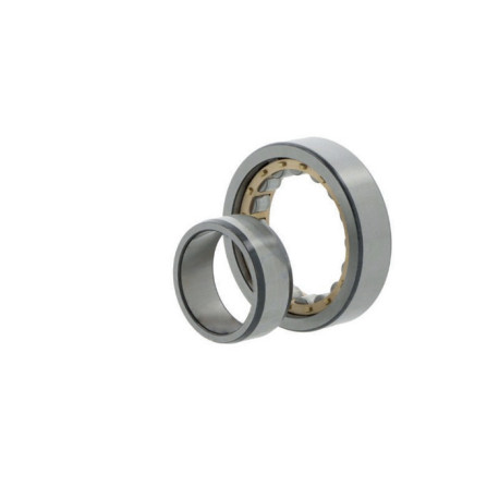 Roulements à rouleaux cylindriques NU2252 -E-TB-M1-C3 ID 260mm AD 480mm Largeur 130mm FAG