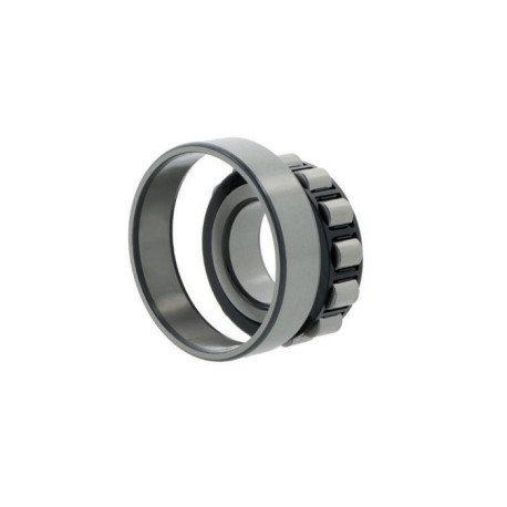 Roulements à rouleaux cylindriques N204 ECP ID 20mm AD 47mm Largeur 14mm SKF