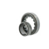Roulements à rouleaux cylindriques NU2211 ECJ ID 55mm AD 100mm Largeur 25mm SKF