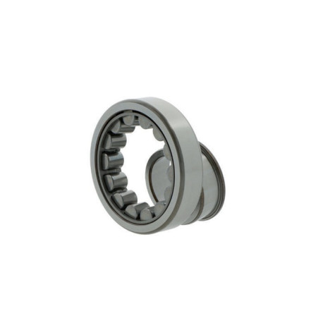 Roulements à rouleaux cylindriques NJ311 ECJ/C3 ID 55mm AD 120mm Largeur 29mm 1pc/unité SKF