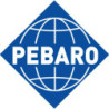 Kit de marquage au fer rouge avec 20 embouts Pebaro