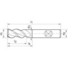 Fraise en bout longue DIN6527VHM FIRE type RF100 3.70mmGÜHRING