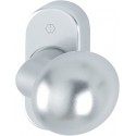 Poignée porte FS-PT -Knopf auf Ros. FS-E50G/55 RF,F69