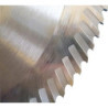 Lame de scie segment HSS 425x4x50 ZpS6 108Z.HZ