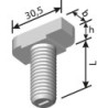 Vis à tête marteau HS 38/17 Acier inoxydable A4 M12x 40 (Par 50)
