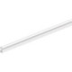 Queue d'aronde 103-3mm silicone blanc. Diamètre 8. L100mtr