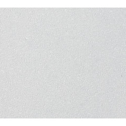 Protection de porte TS-t. Rubbertex® semi-trans. Br900 x H600 (Par 10)