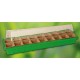 Prima Flora 500104 Serre mini avec 18 pots Vert 54 x 15 x 12 cm