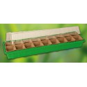 Prima Flora 500104 Serre mini avec 18 pots Vert 54 x 15 x 12 cm