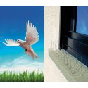 Pic anti pigeon Transparent 13,5 x 11,7 x 32 cm - Prima Flora 610261