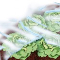 Bache jardin 1,5x10m 17 g/m2, blanc
