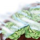 Bache jardin 1,5x50m 17 g/m2, blanc,