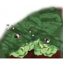 Filet a insectes
