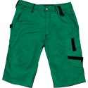 Bermuda Champ, Taille 60, vert /gris