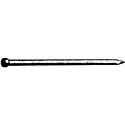 Clou tete ronde galva 2,5x 55 a 2,5kg (Par 5)