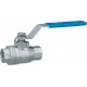 Vanne a bille en acier inoxydable 842 Passage intégral DN 25