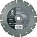 Disque diamant pour WS Atlas Uni 125mm Saint G.