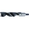 Foret bois SP 13x151mm Fisch