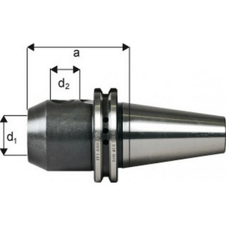 Mandrin de serrage méplat System Weldon, porte-outils DIN 69871, d1 : 25 mm, ISO 40, a 100 mm, d2 : 65 mm