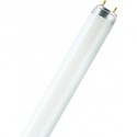 Tube LED 150cm 19,1W kw