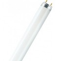 Tube LED 60cm 7,6W kw