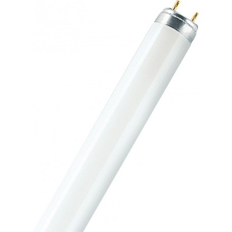 Tube LED 60cm 7,6W warmblanc