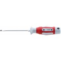 Tournevis 10 x175mm 6kt. CircumPRO