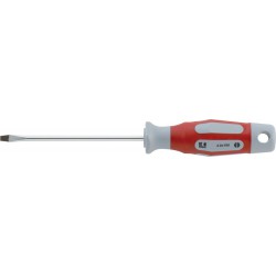 Tournevis 4 x100mm CircumPRO
