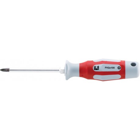 Tournevis PH2x100mm 6kt. CircumPRO