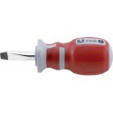 Tournevis 5,5x 25mm CircumPRO