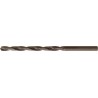 Foret DIN340 HSS roulé Typ N 115mm FORTIS (Par 5)