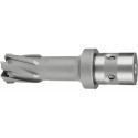 Fraise HM QuickIn Ø 17x35mm Fein