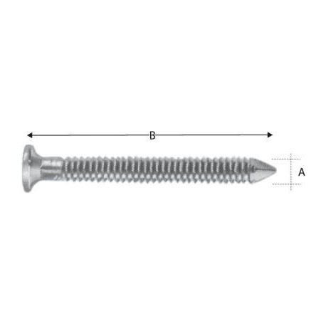 Vis inoxydable CNA40x50S (Par 250)
