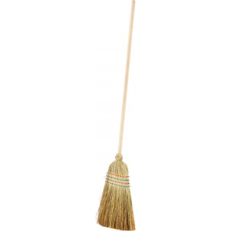Balai paille avec manche CircumPRO