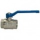 Vanne boisseau sphérique valve line laiton F3/4" 2 filetages femelles RIEGLER 1 PCS