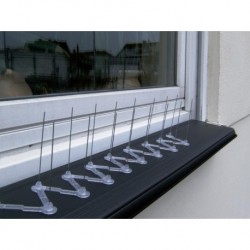 Pics anti pigeaon L 1,0 m plastique CircumPRO