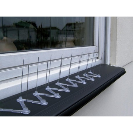 Pics anti pigeaon L 1,0 m plastique CircumPRO