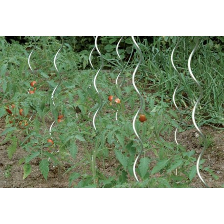 Tuteur tomates 180 cm galvanisé CircumPRO (Par 10)