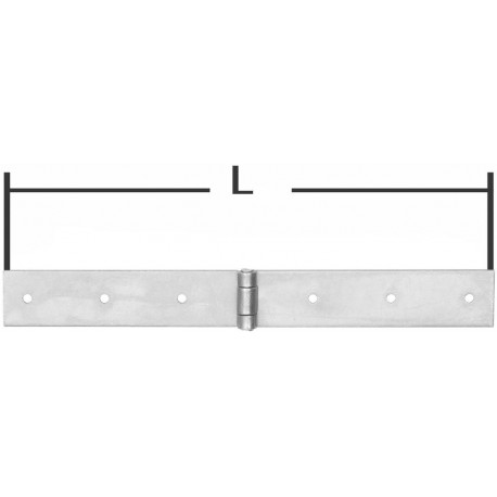 Charnière bande 35x2,5x300mm chromé brillant