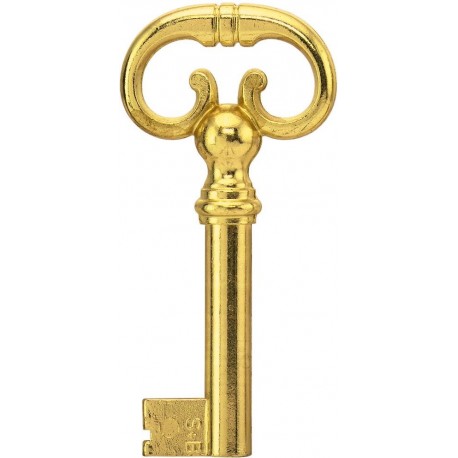 Clé Nr.0339 IC 8x6 40 mm vermess. (Par 10)