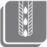 Foret 5xD UNI HA 11,8TiAlN+ IKD6537FORTIS